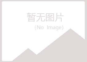 沙河口区冰夏教育有限公司